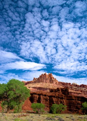 Capitol Reef National Park