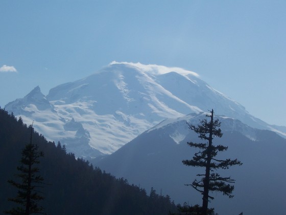Mt. Rainier