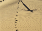 Great Sand Dunes National Park