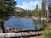 Uinta National Forest