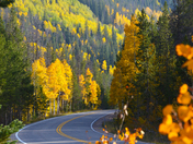 Uinta National Forest