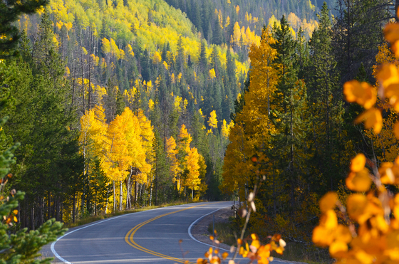Uinta National Forest