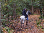 Great Smoky Mountains National Park