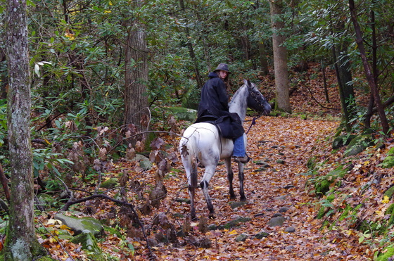 Great Smoky Mountains National Park