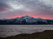 U.S. Forest Service