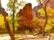 Zion National Park