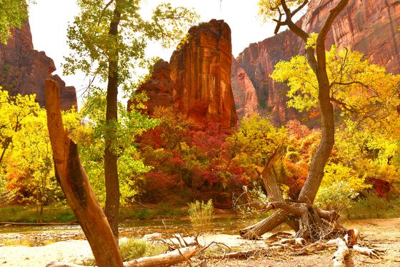 Zion National Park