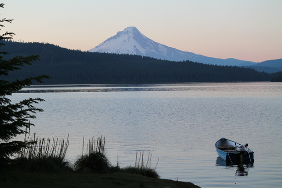Timothy Lake