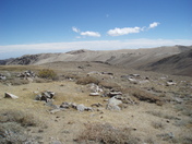 Inyo National Forest