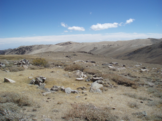 Inyo National Forest