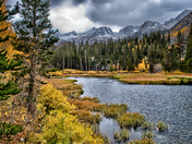 Inyo National Forest