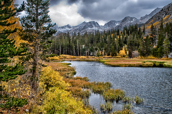 Inyo National Forest