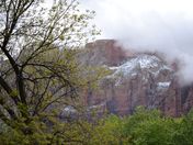 Zion National Park