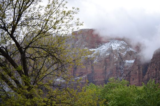 Zion National Park