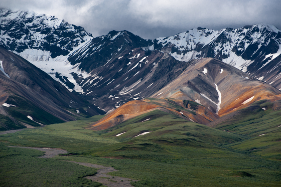 Denali National Park