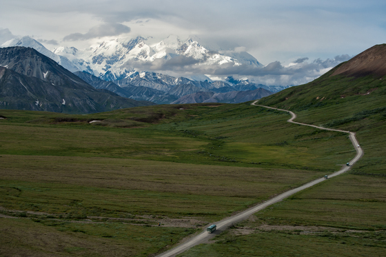 Denali National Park