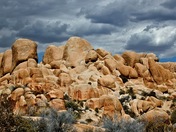 Joshua Tree National Park