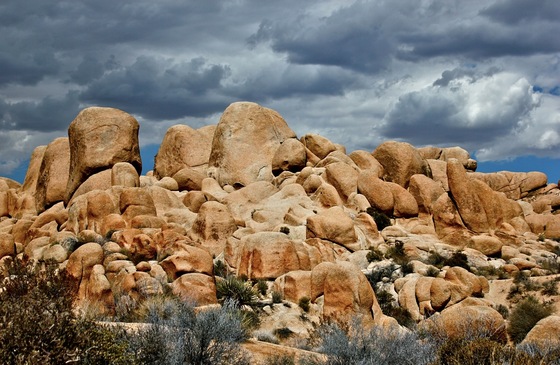 Joshua Tree National Park