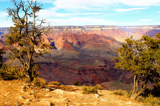 Grand Canyon National Park