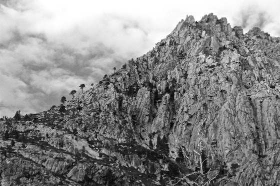 Eldorado National Forest