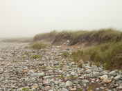 Lawrencetown Beach
