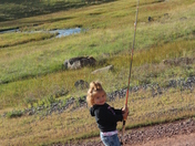 Apache-Sitgreaves National Forest,