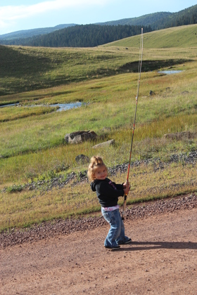Apache-Sitgreaves National Forest,