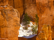 Bryce Canyon National Park, Utah
