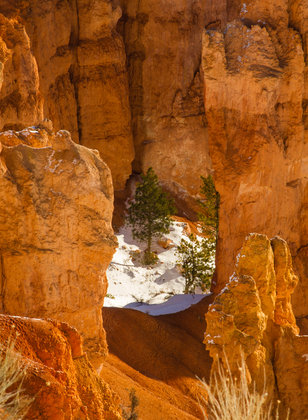 Bryce Canyon National Park, Utah