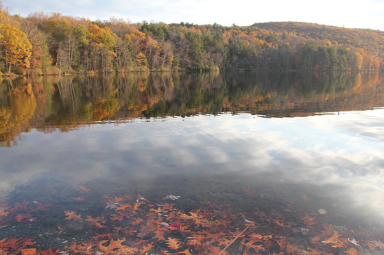 Hidden Lake, Delaware Water Gap, National Recreation Area NJ,PA 