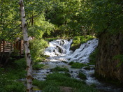 Black Hills National Forest