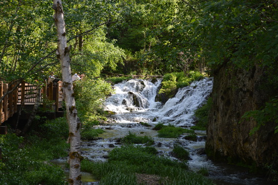 Black Hills National Forest