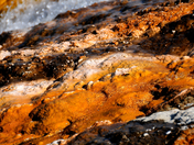 Yellowstone