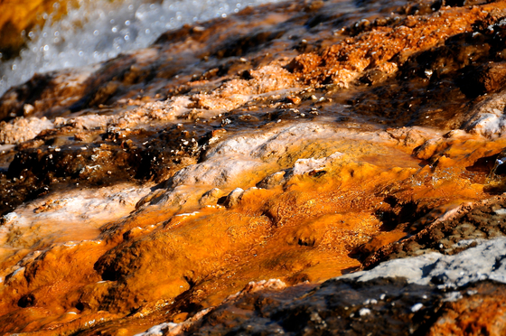 Yellowstone
