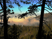 Sequoia National Park