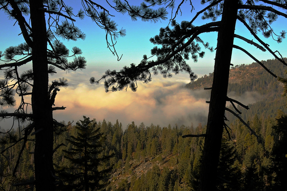Sequoia National Park
