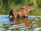 Grand Teton National Park