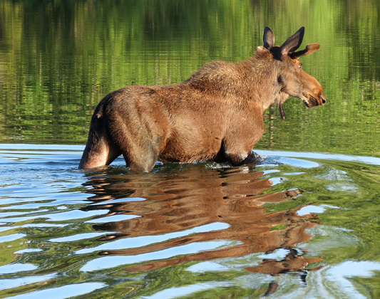 Grand Teton National Park