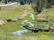 yellowstone