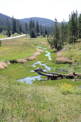 yellowstone