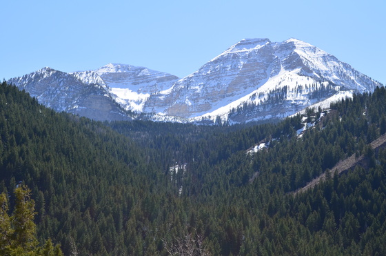 Granite Flat, Uinta-Wasatch-Cache National Forest Utah