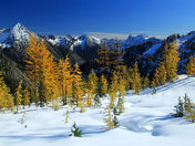 Okanogan-Wenatchee National Forest