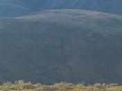 Denali National Park