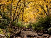 great smoky mountians