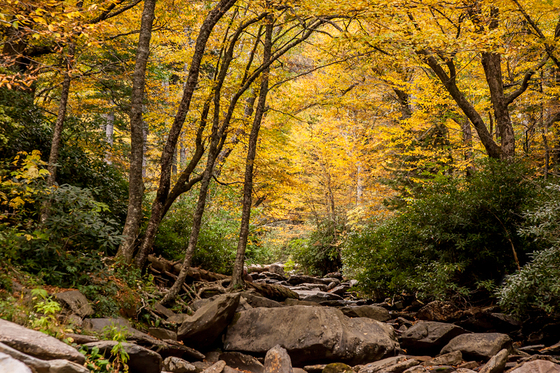 great smoky mountians
