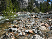 Kings Canyon National Park