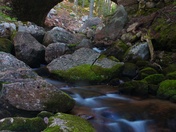 Acadia National Park