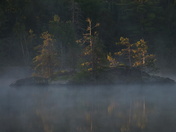 Superior National Forest