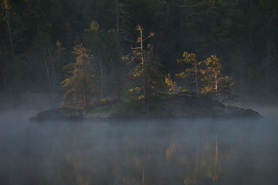 Superior National Forest