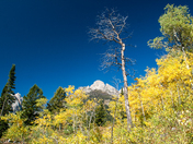 Grand Teton National Park